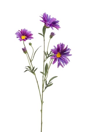 Aster daisy spray purple 70 cm