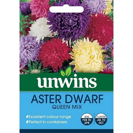Aster Dwarf Queen Mix