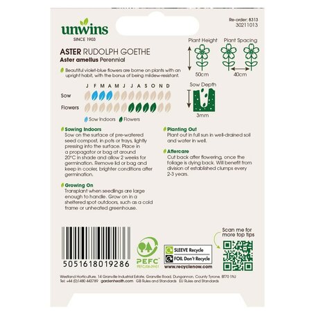 Aster Rudolph Goethe - image 2