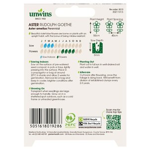 Aster Rudolph Goethe - image 2