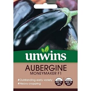 Aubergine Moneymaker F1