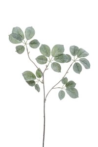 Baby schefflera spray green/grey