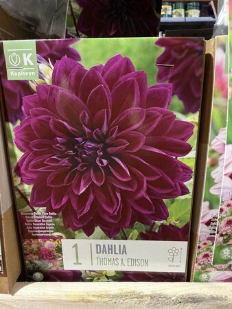 BAG DAH. THOMAS A. EDISON