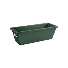 barcelona trough 50 leaf green