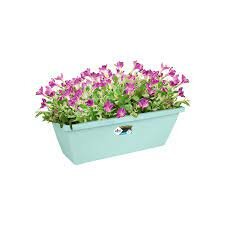 barcelona trough 50 mint