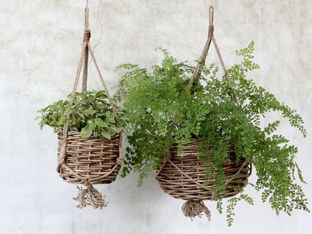 Basket for hanging