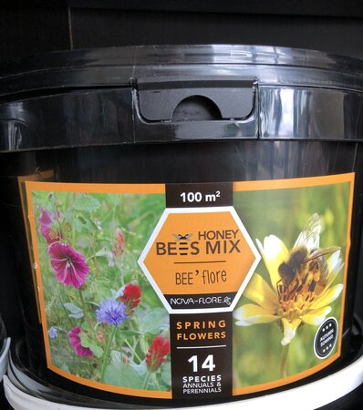 Bee's Range Spring Flower 100sqm