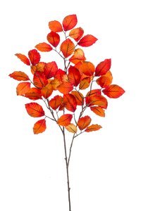 Beech leaves spray flame 95cm