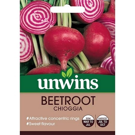 Beetroot (Round) Chioggia
