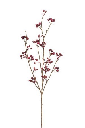 Berry Spray