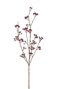 Berry Spray