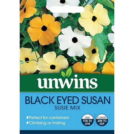 Black Eyed Susan Susie Mix