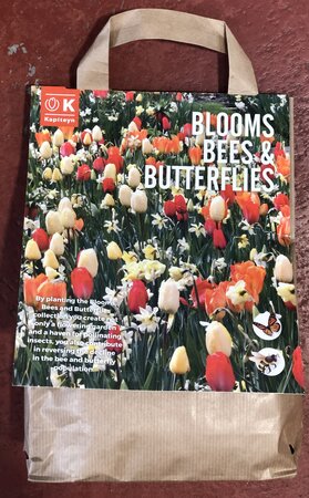 BLOOMS, BEES & BUTTERFLIES SUNSHINE (EN)