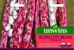 Borlotti Bean Tintoretto
