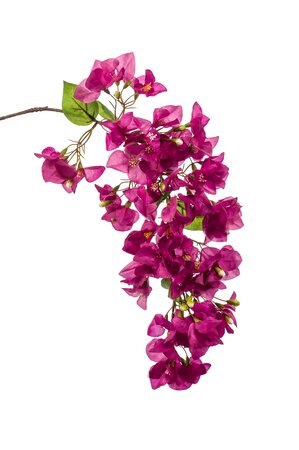 Bougainvillea spray purple 99cm