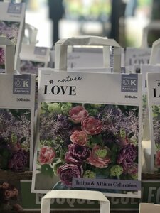 BOUQUET TULIPA & ALLIUM COLL x30