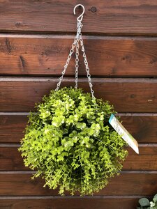 Box Leaf Effect Topiary Ball - 30cm - image 2