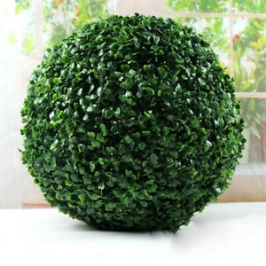 Boxwood ball UV