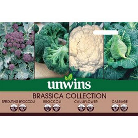 Brassica Collection Pack