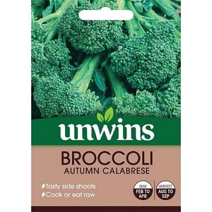 Broccoli (Calabrese) Autumn Calabrese