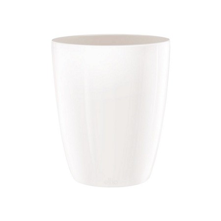 brussels diamond orchid high 12,5cm