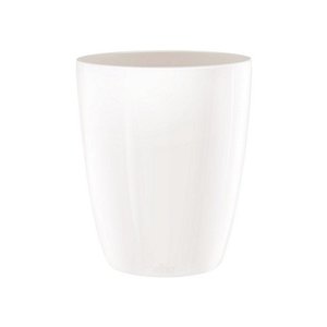 brussels diamond orchid high 12,5cm
