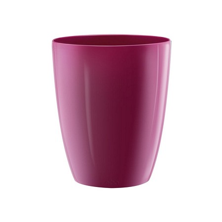 brussels diamond orchid high 12,5cm