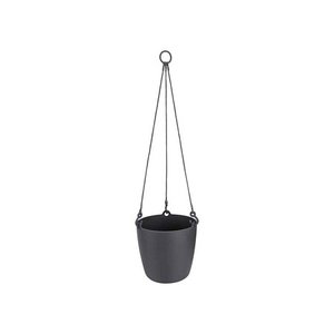 brussels hanging basket 18cm