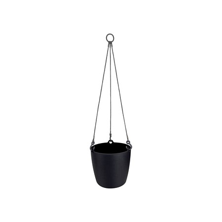 brussels hanging basket 18cm