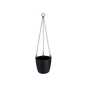 brussels hanging basket 18cm