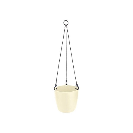 brussels hanging basket 18cm