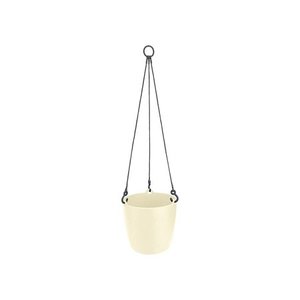 brussels hanging basket 18cm