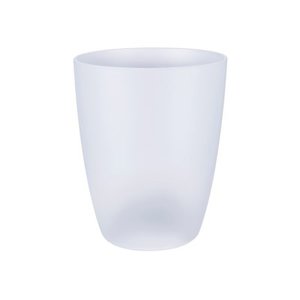 brussels orchid high 12,5cm