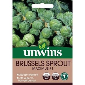 Brussels Sprout Maximus F1