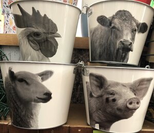 Bucket farm animals b/w ass.