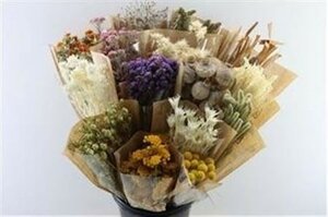 Bunch Dried Flower Mix Sleeved