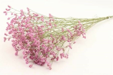 Bunch Limonium Diamond Sleeved L-60