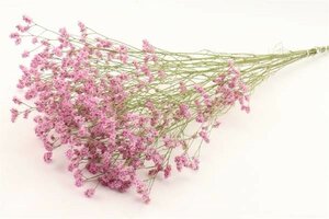 Bunch Limonium Diamond Slv 50g L60 - image 2