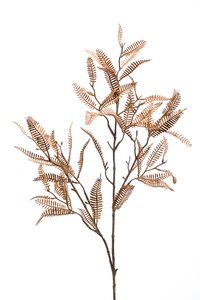Bursera spray brown 85cm