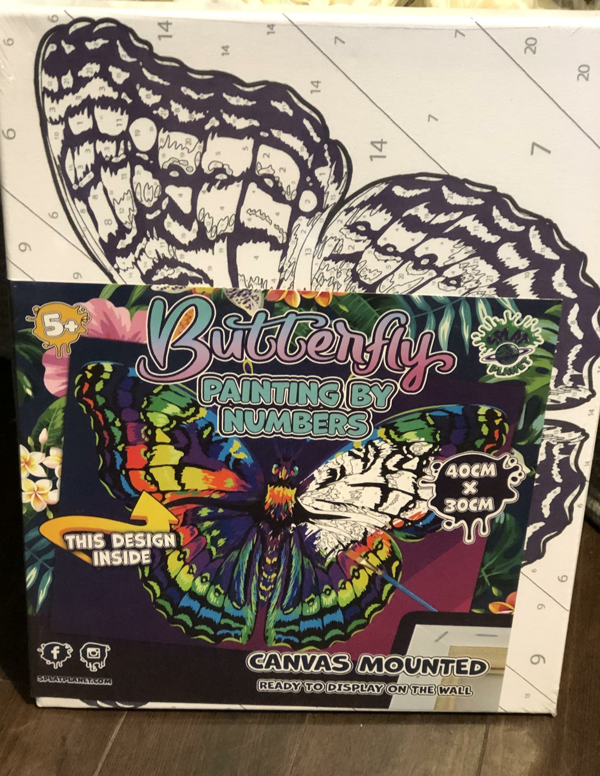 Butterfly Paint by Numbers - D and M Garden Centre