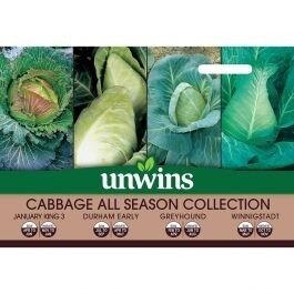 Cabbage All Season Collection Pack
