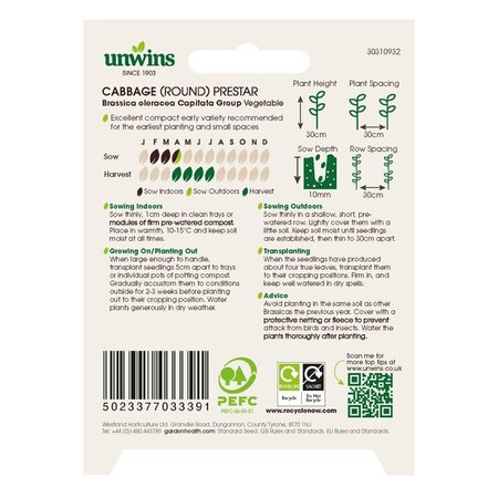 Cabbage Prestar - image 2