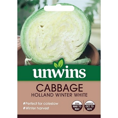Cabbage (Round) Holland WinterWhite