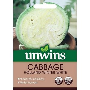 Cabbage (Round) Holland WinterWhite