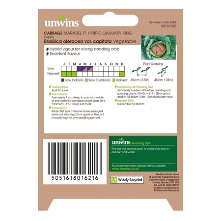 Cabbage (Round) Marabel F1 - image 2