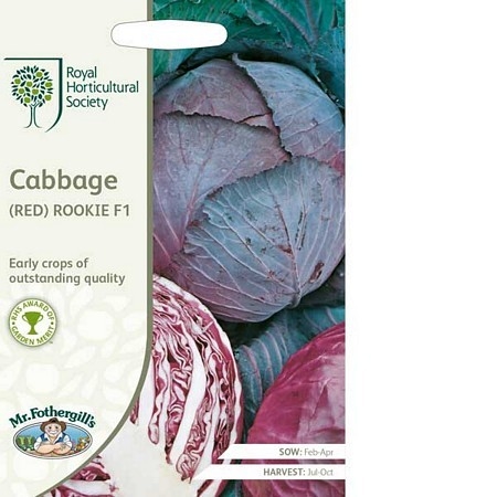 Cabbage (Round) Red Rookie F1