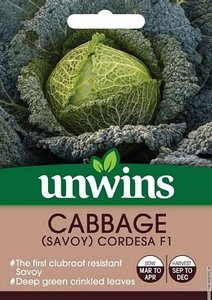 Cabbage (Savoy) Cordesa F1