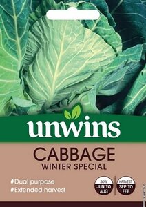 Cabbage (Spring Greens) WinterSpecial