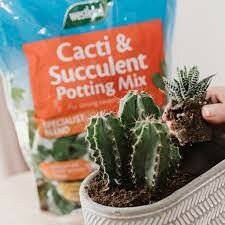 Cacti & Succulent Potting Mix (Enriched with Seramis)