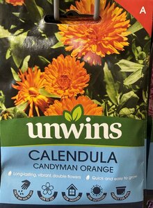 Calendula Candyman Orange